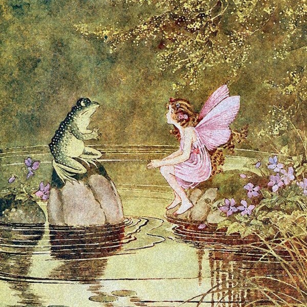 Meet your Posher, Eva